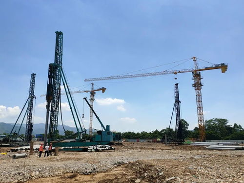 肇慶水產(chǎn)交易中心試運(yùn)營，開啟新鮮水產(chǎn)采購新篇章