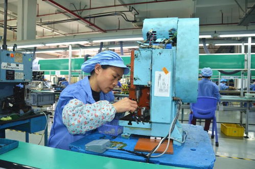 吉安永新縣新春企業(yè)生產(chǎn)忙 驅(qū)蚊器材制造訂單旺